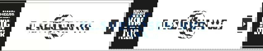 flemmingsvendsenvvs.dk